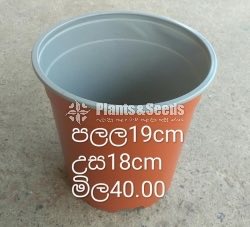 Plastic Pots