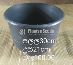 Plastic Pots