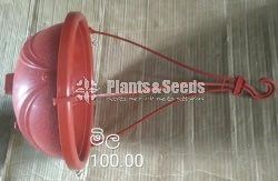 Plastic Pots