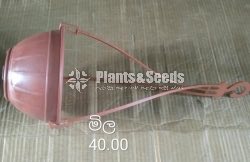Plastic Pots