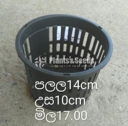 Plastic Pots