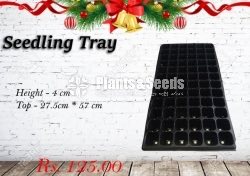 Seedling trays 