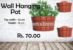 Wall Hanging Pots