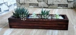 Wooden Plant Holder