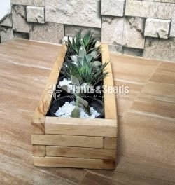Wooden Plant Holder