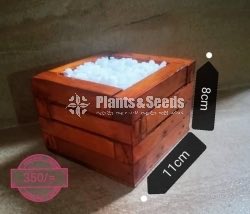 Plant Box