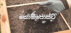 Compost