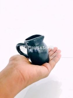 Decorative Pots(විසිතුරු මල් පැළ පොච්ච් )