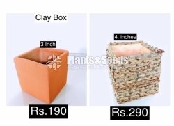 Decorative Pots(විසිතුරු මල් පැළ පොච්ච් )