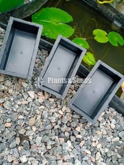 Interlock අච්චු 