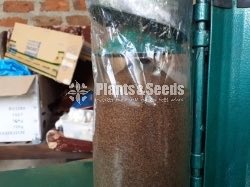 Wagamalu pirawum yanthraya (බිම්මල් වගාමලු පිරවුම් යන්
