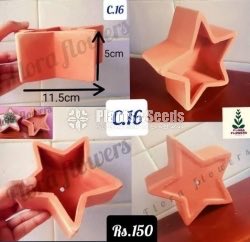 Clay Pots(Polished)