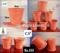 Clay Pots(Polished)
