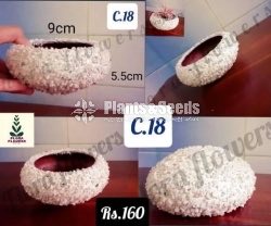 Clay Pots(Polished)