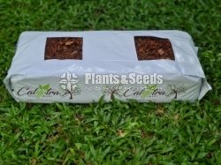 Kaliptra Bag-Planter Bag