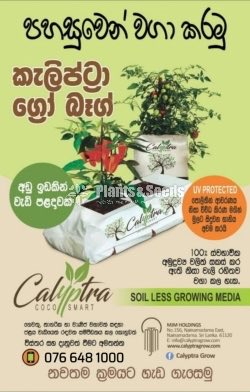 Kaliptra Bag-Planter Bag