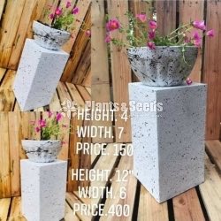 Taiteniyam Wholesale Flower Pot