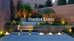 All kind of Grasses and Landscaping