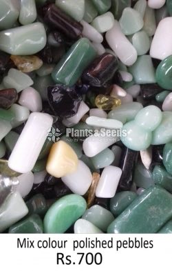 Mix Color Polished Pebbles