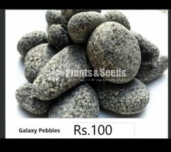Galaxy Pebble (Fancy Stones)