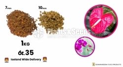 PolleliKabali(පොල් ලෙලි කැබලි ) 