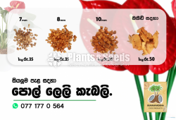 PolleliKabali(පොල් ලෙලි කැබලි ) 