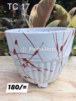 Titanium Pots
