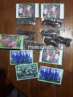 Flower Seeds