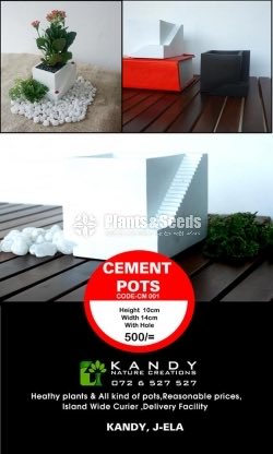Cement Pots