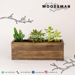 Plant Rack with Plants