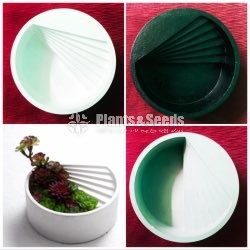 Decorative Cactus Pots(විසිතුරු මල් පැළ පොච්ච් )