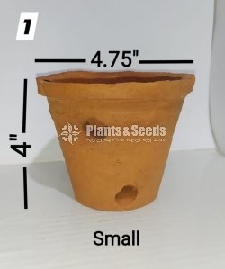 Clay Pots for Orchids