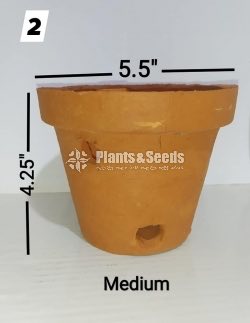 Clay Pots for Orchids
