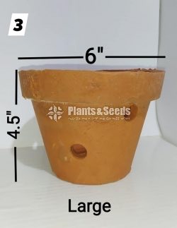 Clay Pots for Orchids