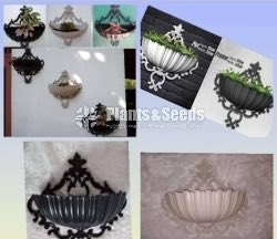 5 Seashell Wall Pots