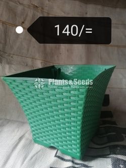 Plastic Pots