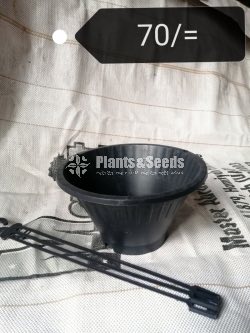 Plastic Pots