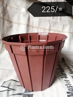 Plastic Pots