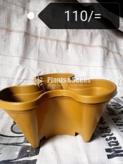 Plastic Pots