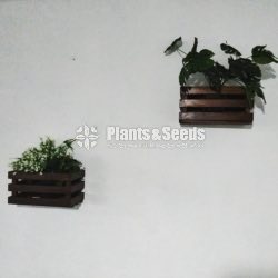 Wooden Wall Planter