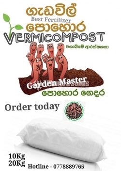 Vermicompost (ගැඩවිල් පොහොර )