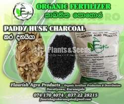 Kara Dhayya(Paddy Husk Charcoal)
