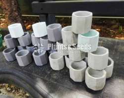 Cement Pots for (Cactus and Succulent)