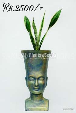 Hand painted indoor pots