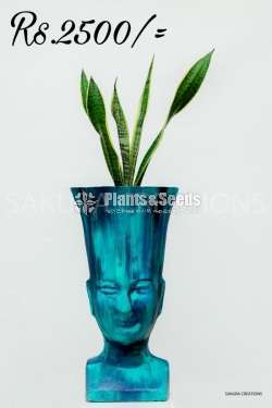 Hand painted indoor pots