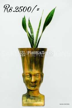 Hand painted indoor pots