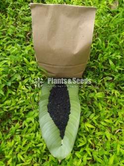 Enriched Bio-Char (Soil Conditioner)