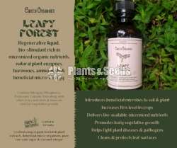 Plant Elixirs Fertilizer
