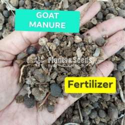 Goat Manure(Elu Phora)