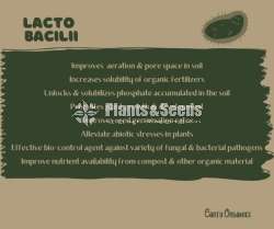 LactoBacilli (ශාකරෝගසඳහාප්‍රතිකාර කිරීමසඳහා)